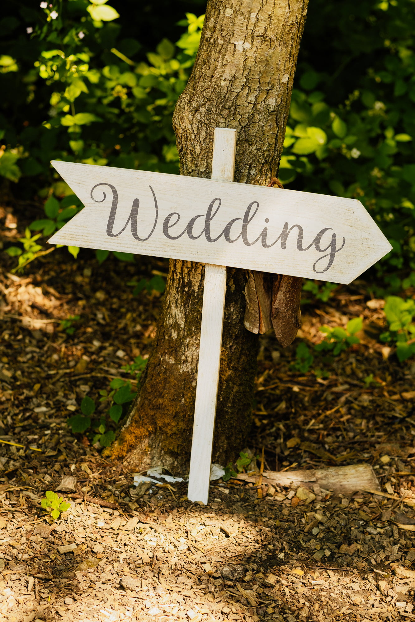 wooden wedding arrow sign leaning against a tree