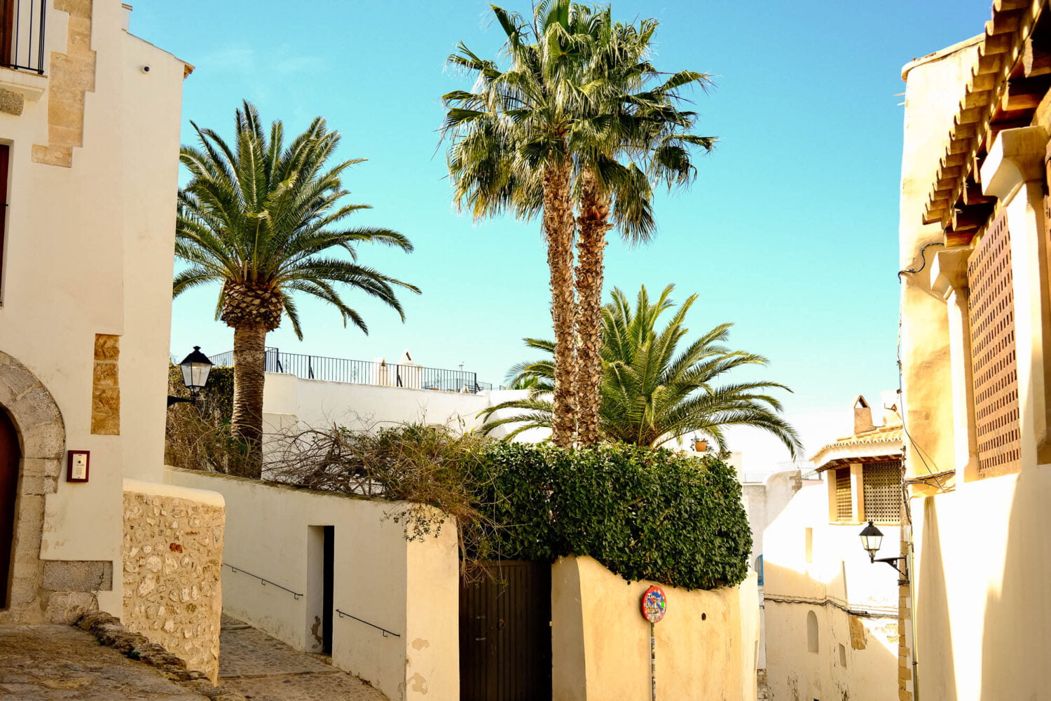 Palm trees and blue sky in Ibiza old town