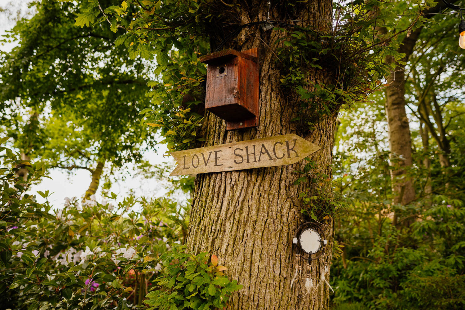 Wooden sign for 'Love Shack' on a tree in Moss Wood