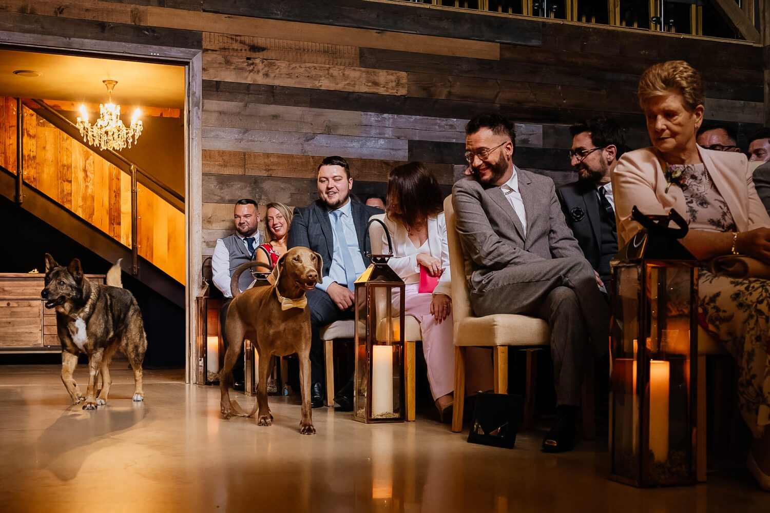 Dogs walking down the aisle at Wharfedale Grange