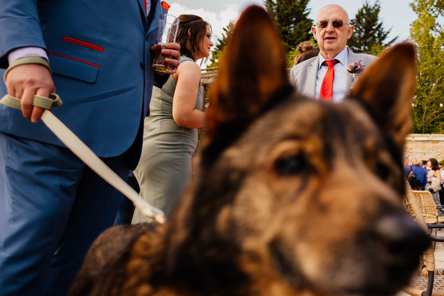 Grandad watching dog held by best man