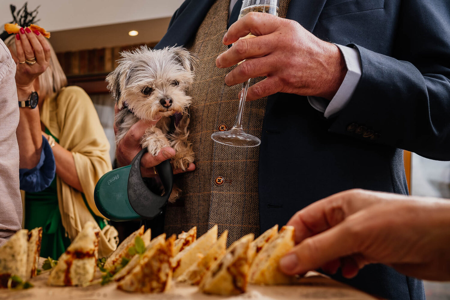 Dog being held by man watching as guest picks up a canape to eat