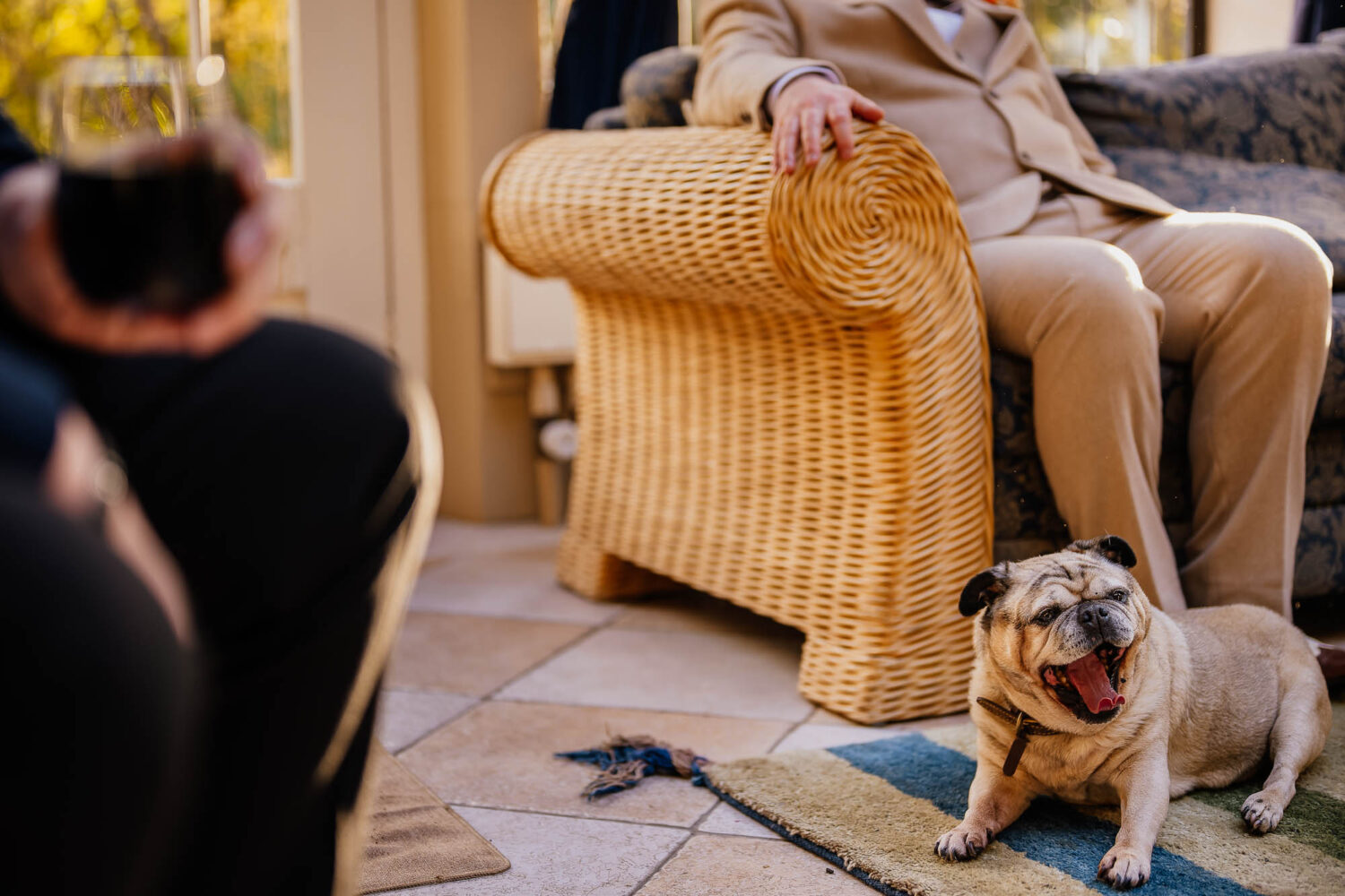 Pug on a rug yawning with groom sat in the background