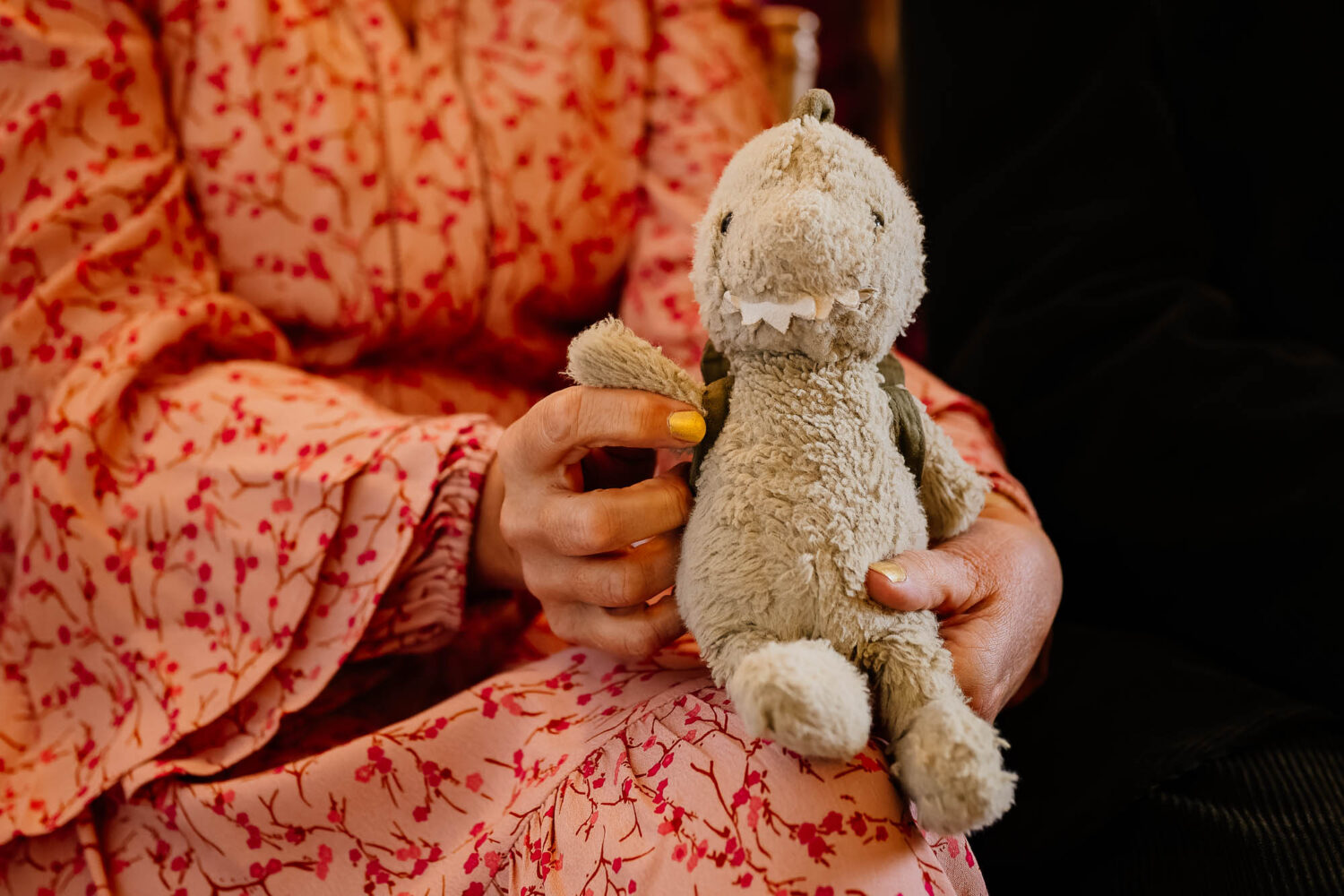 Dinosaur toy being held by mum