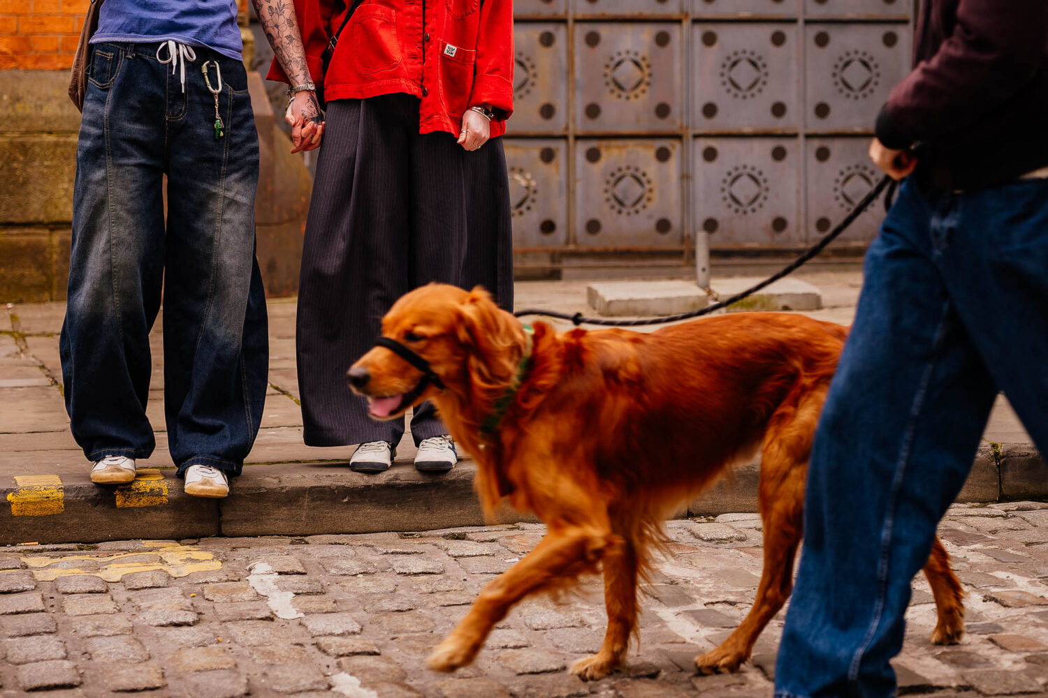 Couple holding hands on the street whilst a dog walks past